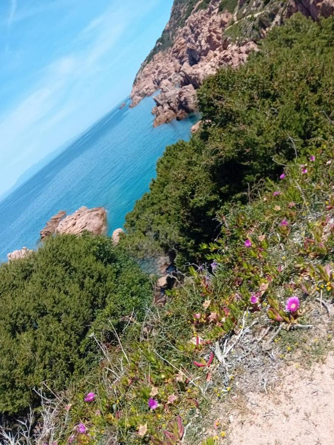 Villetta Monica Costa Paradiso Buitenkant foto